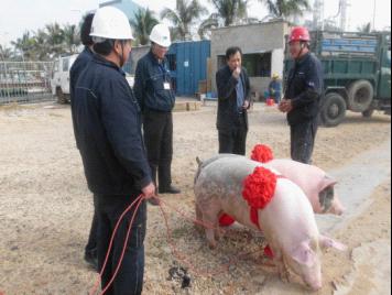 中海油東方石化領(lǐng)導(dǎo)來第六直屬分公司海南海油項(xiàng)目部慰問